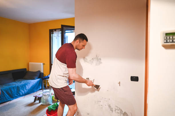 Best Residential Mold Removal  in Waipahu, HI